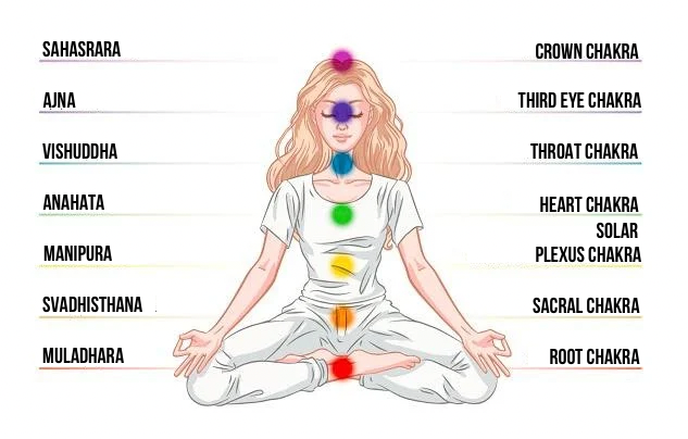 The Muladhara Chakra (22nd Arcanum) 2 6 str chakry 1 1