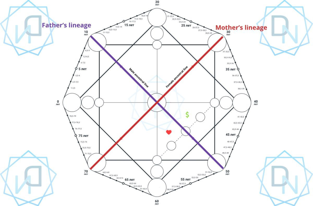 Lines in the Destiny Matrix: Types, Locations, and Meanings (22 Energies) 9 image 9