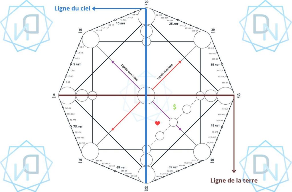 Lignes dans la Matrice du Destin : types, emplacements et significations (22 énergies) 9 photo 2025 05 28 22 11 38