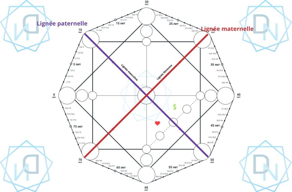 Lignes dans la Matrice du Destin : types, emplacements et significations (22 énergies) 10 photo 2025 05 28 22 23 27