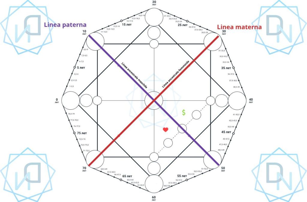 Linee nella Matrice del Destino: tipologie, posizione e significato (22 energie) 9 photo 2025 05 28 22 35 38