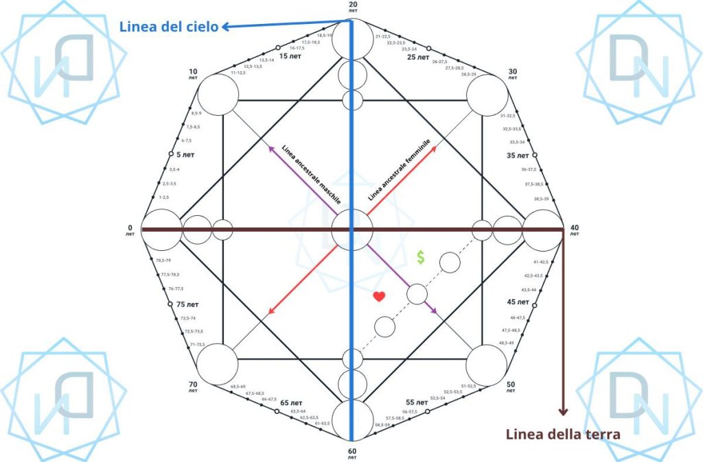 Linee nella Matrice del Destino: tipologie, posizione e significato (22 energie) 10 photo 2025 05 28 22 35 46